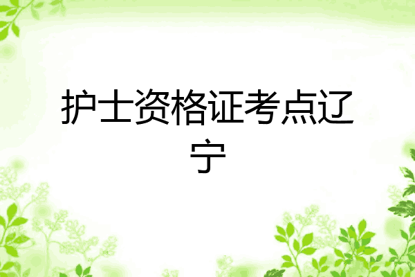 护士资格证考点辽宁