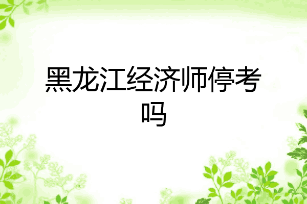 黑龙江经济师停考吗