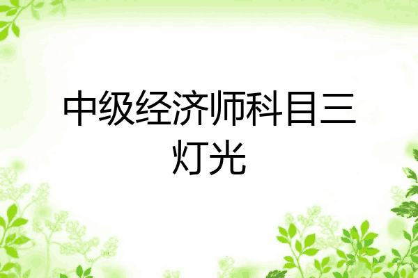 中级经济师科目三灯光