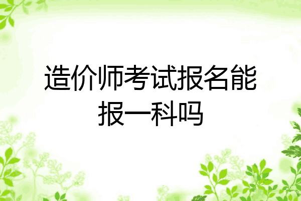 造价师考试报名能报一科吗