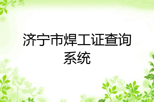 济宁市焊工证查询系统