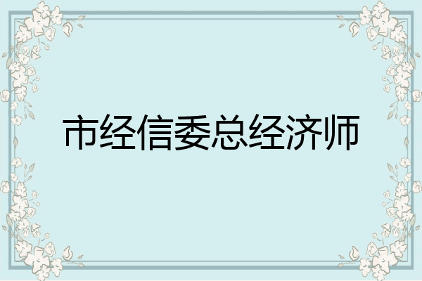 市经信委总经济师