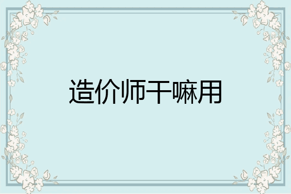 造价师干嘛用