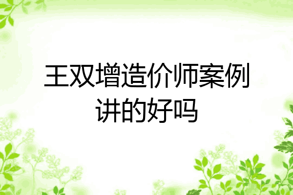 王双增造价师案例讲的好吗