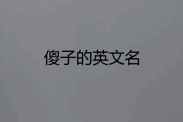 傻子的英文名
