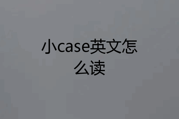 小case英文怎么读