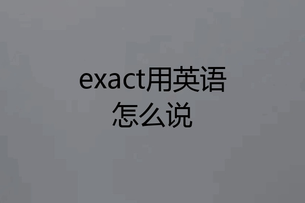 exact用英语怎么说