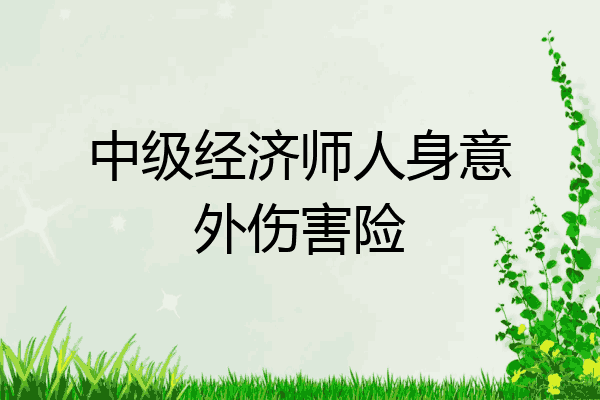 中级经济师人身意外伤害险