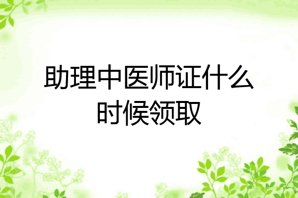 助理中医师证什么时候领取