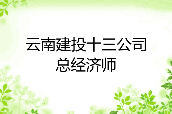 云南建投十三公司总经济师