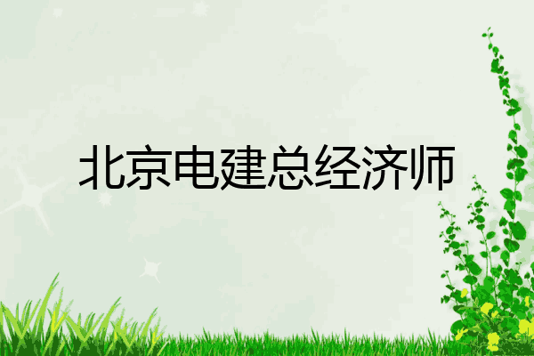 北京电建总经济师