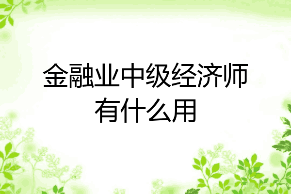 金融业中级经济师有什么用