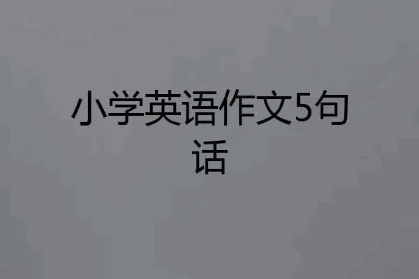 小学英语作文5句话