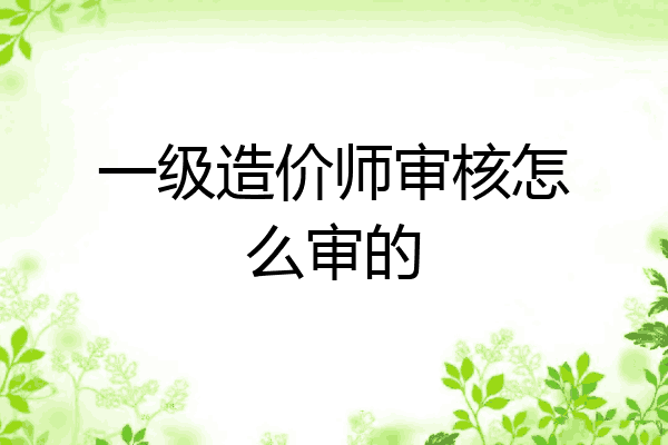 一级造价师审核怎么审的