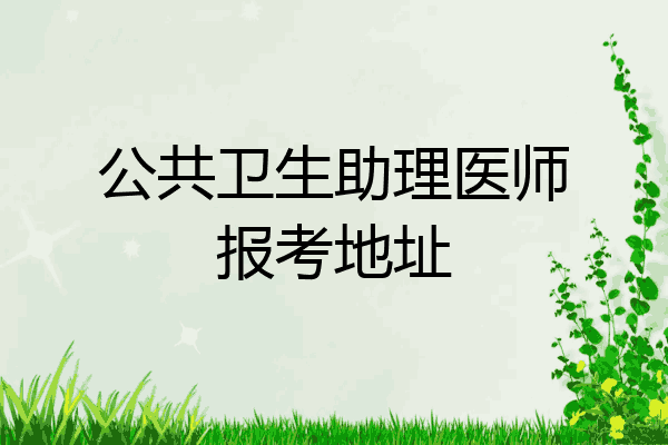 公共卫生助理医师报考地址