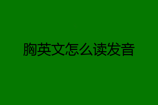 胸英文怎么读发音
