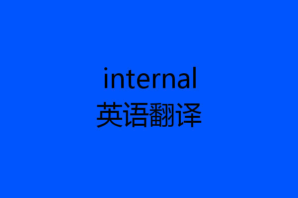 internal英语翻译