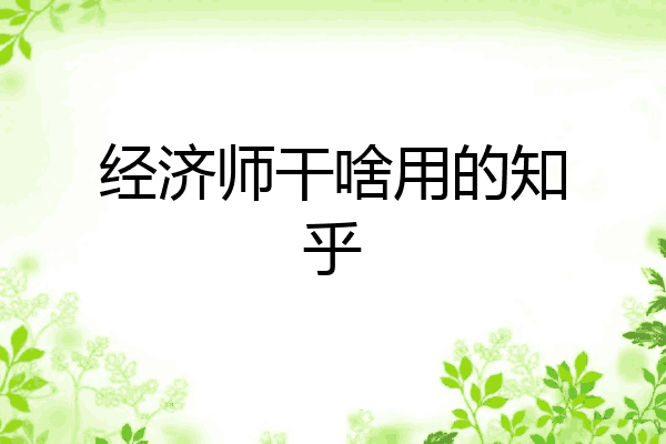 经济师干啥用的知乎
