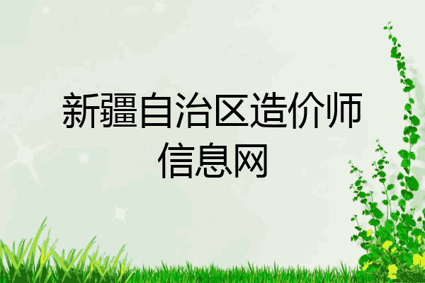 新疆自治区造价师信息网