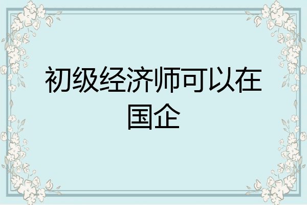 初级经济师可以在国企