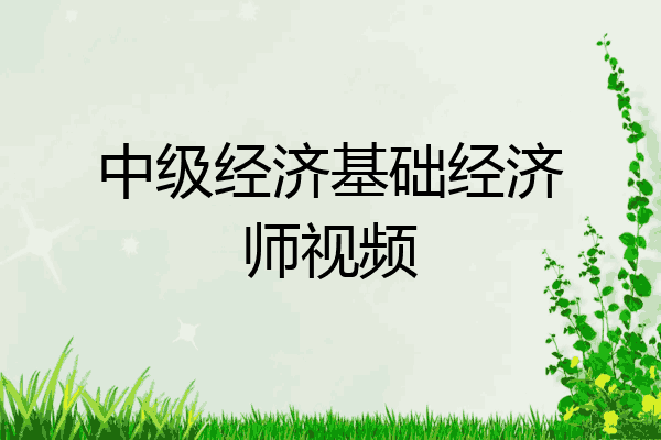 中级经济基础经济师视频
