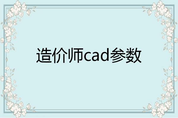 造价师cad参数