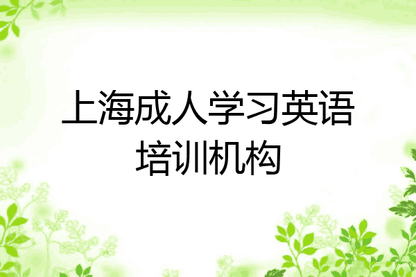 上海成人学习英语培训机构