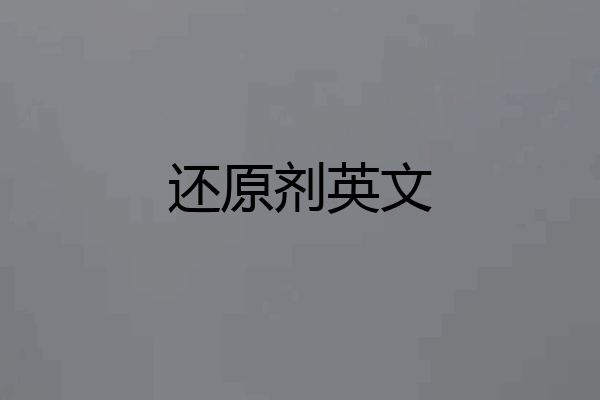 还原剂英文
