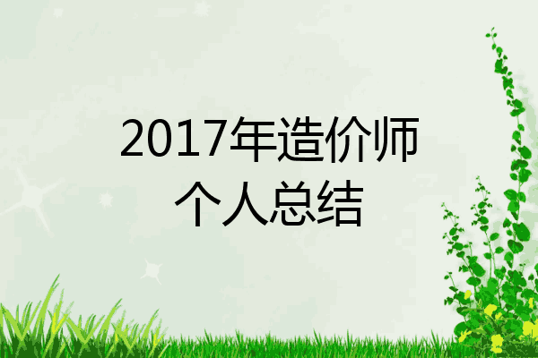 2017年造价师个人总结