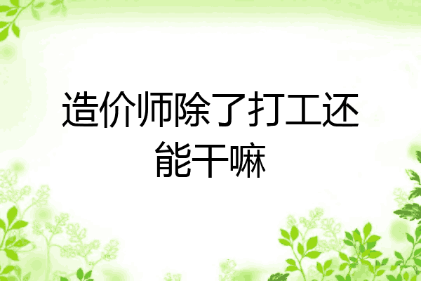 造价师除了打工还能干嘛