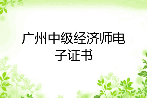 广州中级经济师电子证书