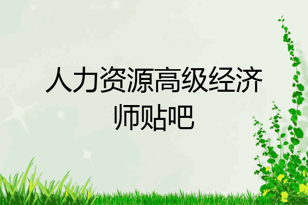 人力资源高级经济师贴吧