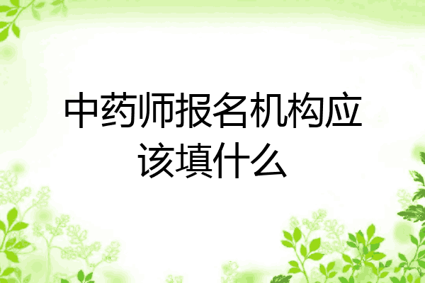 中药师报名机构应该填什么