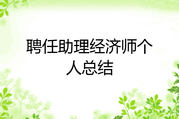 聘任助理经济师个人总结