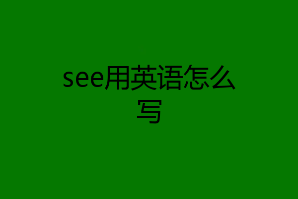 see用英语怎么写