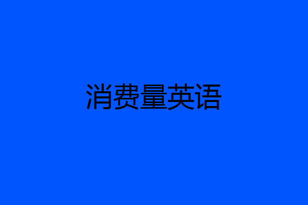 消费量英语