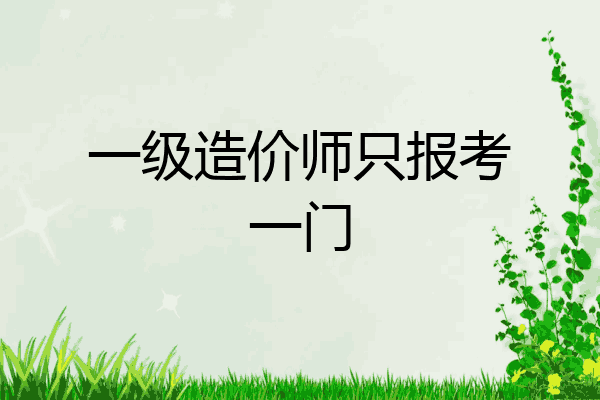 一级造价师只报考一门