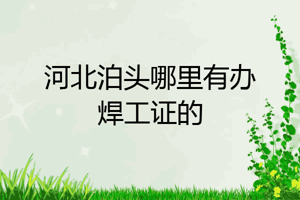河北泊头哪里有办焊工证的