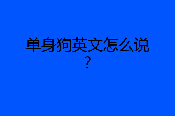 单身狗英文怎么说?