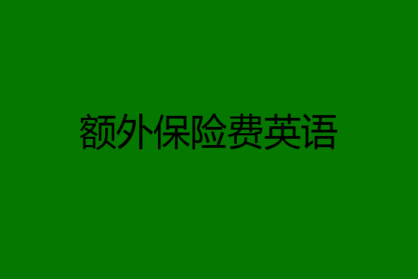额外保险费英语
