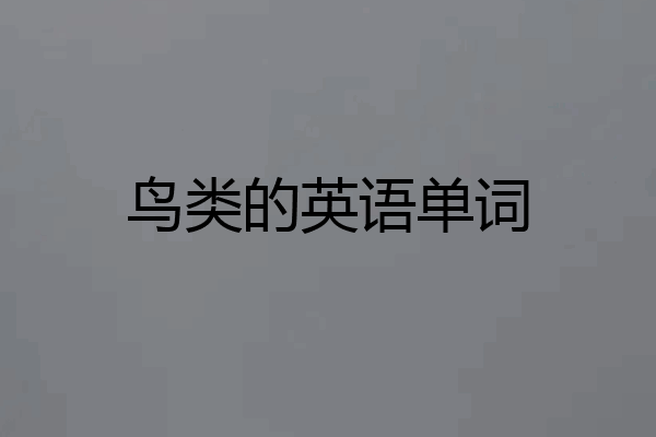 鸟类的英语单词