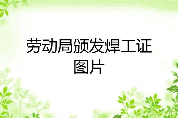 劳动局颁发焊工证图片