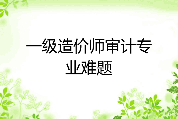 一级造价师审计专业难题