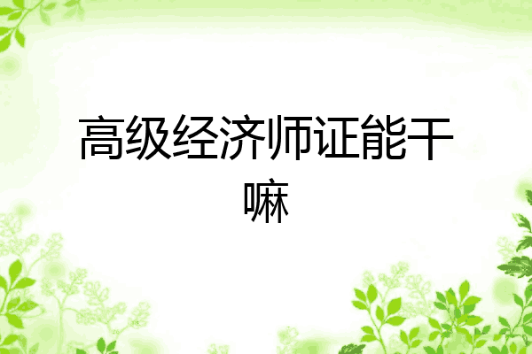 高级经济师证能干嘛