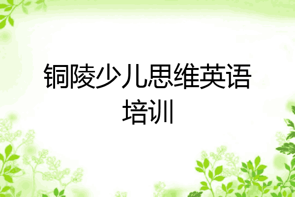 铜陵少儿思维英语培训