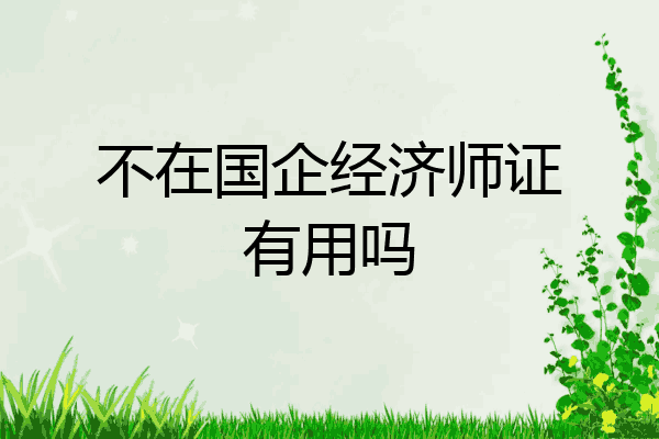 不在国企经济师证有用吗