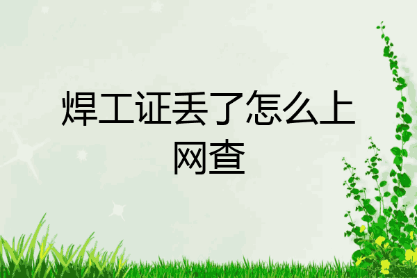 焊工证丢了怎么上网查
