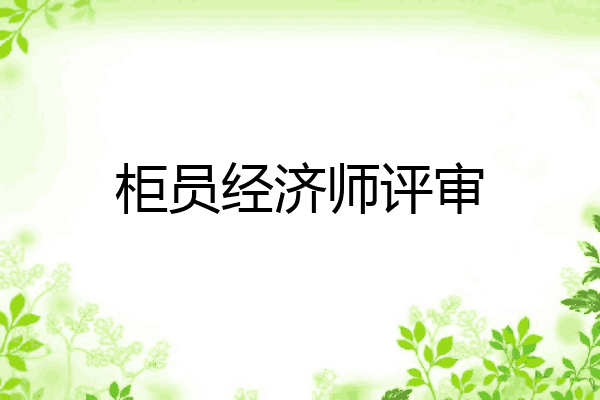柜员经济师评审