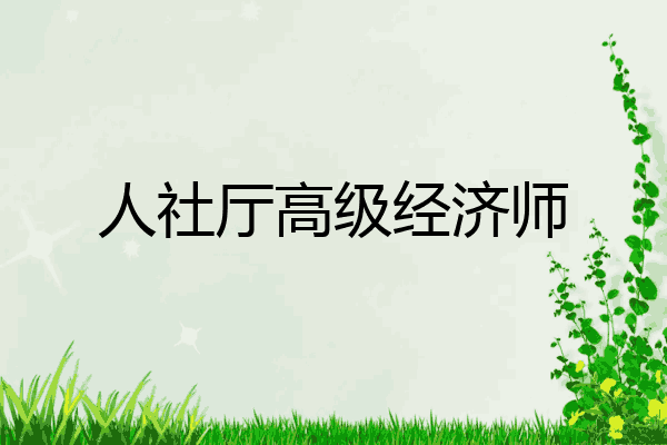人社厅高级经济师