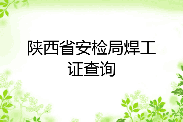 陕西省安检局焊工证查询